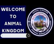 Animal Kingdom: Animal, Birds and Nature
