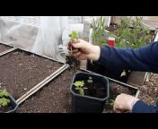 Terry King&#39;s Allotment Gardening On A Budget