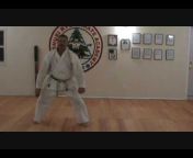 Shuri Ryu Karate Academy
