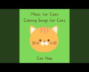 Cat Nap - Topic