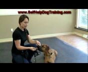 Dog Training by K9-1.com