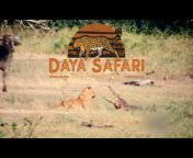 Daya Safari