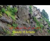Beauty of Amazai