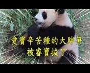 Q萌熊猫