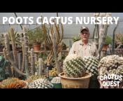 Cactus Quest