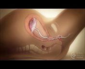 176px x 144px - bhabhi pussy baby delivery village desi bhabhi pregnant sex Videos -  MyPornVid.fun