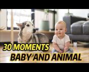 Baby Videos - bbvid