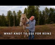 Horse Training 101
