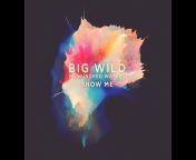 Big Wild