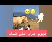 حسان الجهني Horse Lover