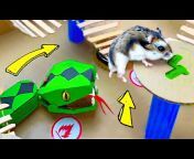 DIY Hamster Maze