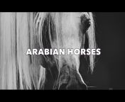 We LOVE Arabian Horses