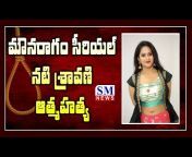 SM News Telugu