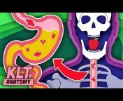 KLT Anatomy