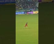 SG Real Cricket Video