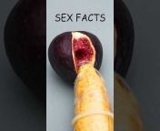 Steamy Facts