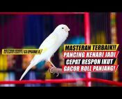 Bird champion Training-tv