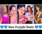 Punjabi Reels