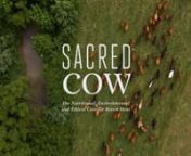 Short teaser video of the upcoming film, Sacred Cow: The Case for Better Meat (Summer 2020). More information: www.sacredcow.infon nFeaturing: Dr. Mark Hyman, Robb Wolf, Chris Kresser, Joel Salatin, Zoe Harcombe, PhD, Nicolette Hahn Niman, Patrick Holden, Allen Williams.(More experts will be featured in full-length film) nnExecutive Producers: Paul and Pascale Edelman, Justin Nault. Co-Executive Producers Amanda Atkins and Robb Wolf. Co-Producers James Connolly and Abigail Fuller. Edited by re