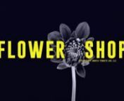 FLOWER SHOPndirected by PHiLLYKnnIn the midst of an economic recession, Harlem rallies around Carolina Flowershop, a community touchstone which served the likes of Malcolm X, Jackie Robinson and Lucille Ball. Flower Shop tells the story of prolific drummer Phil Young who puts his music career on hold to fight for the legacy of his family&#39;s third generation business.nn______________nndirected, filmed &amp; edited bynPHiLLYKnnadditional cameranANDY TAVAREZnMCGRAW WOLFMANnERIC PALANZAnnmusicnTHE PH