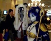 I ran into this sexy girl at least three times during the convention.Since I was in fursuit at the time, all I had on my was my pocket camera.The viewing angle on this thing is so small, I struggled to fit all her awesome detail into the shot.nnShe is probably the single best Krystal fursuit / kigurumi I&#39;ve seen.As always, it was a pleasure to encounter Ayano and her beautiful costumes.nnMy main High-def camcorder is still on the fritz, and will probably take at LEAST a month to repair.I