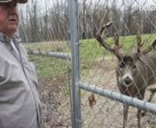 From a massive investigative story by Ryan Sabalow at The Indianapolis Star, my companion video takes a look at Russ Bellar, who was sent to prison on Federal wildlife charges. ©The Indianapolis Star.