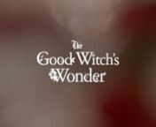 I was the lead designer for The Hallmark Channel Original Movie, The Good Witch&#39;s Wonder.nnI was tasked to create a concept for the new title sequence and see it through to the final animated stages. While also sticking to the typical style and grid of past Good Witch moviesnnThere are moments in the script of the movie that continuously talk about one of the character&#39;s love for hibiscus flowers. After seeing this, I decided it would be interesting to use flowers as the main element in the sequ