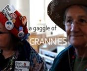 The Raging Grannies are a group of older female activists who choose to protest societal issues through song.There are gaggles of Raging Grannies all over the United States and Canada.Vicki Ryder, Liz Evans and Jane Hare, three members of the Triangle area&#39;s gaggle, all talk about their experiences as Raging Grannies and their motivations for speaking out against the powers that be through this light-hearted and entertaining form of expression.