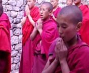In a new documentary filmed in the border regions of Tibet, the notion that a nun can be educated and that being born a female is not a punishment of past deeds is currently challenging thousands of years of history. Through Jetsunma Tenzin Palmo, Chamba Landro, experts, and nuns young and old we explore the paradox that being a woman in Tibetan Buddhism is: that a fundamental spiritual equality does not equate in any way to equality in the practical life.