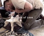 Exhibition trailer 14. - 24.1. 2016, Prague. www.prolaspeoflove.comnMusic: Albert Kuvezin/Yat-KhannProlapse of Love, 14.1. / Raw flesh, paintings and installations.nThe concept of the exhibition is inspired by the grotesque trend of contemporary anal sex industry: rectal prolapse. Prolapse of human and pig innards, paintings and installations. You will only be liberated by drinking the author’s urine containing muscimol from red toadstool.