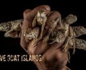 A short film about the impacts of a proposed massive transshipment port in Jamaica&#39;s largest protected area, Portland Bight, focusing on the flagship Critically Endangered Jamaican Iguana. Script and photographs by GWC&#39;s Director of Communications Robin Moore and featuring the work of GWC partner the International Iguana Foundation.