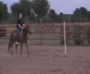 I was out working the horses with my hubby and my friend, devin decided it would be fun to try and do the pole bending pattern...it was pretty funny to watch, especially knowing that 10 minutes earlier had gotten bucked off!! :)