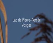 France / Vosges / soir d&#39;hiver au lac de Pierre-percéenIn the winter evening on the lake of Pierre-Percee (France)