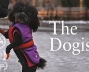 A short documentary about Instagram canine photographer and author Elias Weiss Friedman aka The Dogist (@thedogist).Thanks to all of the dogs and friendly owners who participated! nnDirector: E.J. McLeavey-FishernEditor: Erik AulinCinematographer: Nathan LynchnAdditional Camera: Nick Kraus, E.J. McLeavey-FishernGraphics: Laura KaltmannSound Engineer: Dave HustonnColorist: Colin TraversnnCheck out Elias’ book The Dogist: Photographic Encounters with 1000 Dogs, available here: thedogist.com/bo