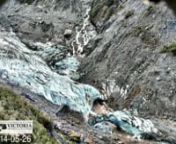 In a series of ice collapses, Fox Glacier retreated by around 300 m between January 2014 and January 2015. As the glacier has thinned over the last few years it has destabilised the side of the valley and you can watch the hillside collapse day by day. Before the first collapse you can see guided groups walking on tracks on the ice, and the whole time people watch from a safe view point (bottom right). This timelapse video is made from (mostly) daily images of the glacier.nnThese images were tak
