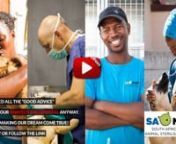 SA.MAST, using recycled shipping containers, has built an animal hospital in Khayelitsha, one of South Africa’s largest and most impoverished townships.nnOur expanded mass cat and dog sterilisation wards, consultation rooms, general hospital wards and surgery theaters are our gift to this community!