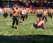 The 654th Kırkpınar Oil Wrestling Festival in the northwestern border city of Edirne attracted a record number of visitors this year. Edirne Mayor Recep Gürkan said that this year, a total of 1,923 wrestlers were registered at the event, setting a record. The annual tournament, which began Friday, is the oldest sanctioned sporting competition in the world and has been held in the same place since 1362. nn© 2015