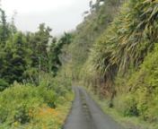 Zelená tropická cesta nad Sandy Bay, St.Helena from zelena