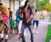 (ZinkHD.CoM)_Flavour_Baby_Na_Yoka_official_Video from zinkhd