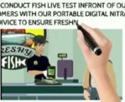 Freshy Fish Animated Video