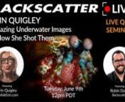 Join us for a live Q&amp;A with our good friend Erin Quigley where we take a deep dive into some of her favorite underwater images.nnTopic Timecodesnn01:03 - Erin’s Background in Underwater Photography &amp; Editingn n10:16 - Catfish Shot with Canon 1DXII &amp; Canon 100n10:58 - The story behind the shotn11:45 - How do you push through frustrations when trying to nail a specific shot?n n12:47 - Large Shark Shot Series (4 images)n13:40 - What goes into the decision making of shot selection, esp