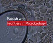 frontiersin.org/journals/microbiology