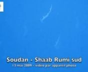 Vidéo prise avec un appareil photo sur Shaab Rumi sud, au Soudan, le 13 mai 2009.