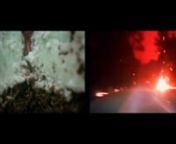 Dessert - Disaster (2017-2018) nHD video, double-channel installation or single-channel screening, color, sound, 3 minutes 54 seconds minutesn nnA found footage work which compares the parallel cinematic language of dessert commercials with that of ‘disaster porn’ found in the news and on the Internet. The sound, pulled from pedestrian-produced videos of demolitions, disasters, and storms, expresses the contradictions of the contemporary crowd; its insatiable appetite for destruction and aro