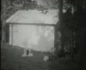 Roots book by Kultbooks in Hägersten forest, Stockholm, SwedennAugust, 2017nnFilm by Eva SaukanennFilmed with Super 8 movie camera Kvarz with Kodak Tri-X Reversal Film.nSelf-Processed at Baltic Analog Lab, Riga, LatviannThank you Janne Riikonen, Kultbooks and Baltic Analog Lab.nnMusic author: KetsanSource: http://freemusicarchive.org/music/Ketsa/Paradigms/sad_moments_stems_raxnLicense: http://creativecommons.org/licenses/by-nc-nd/4.0/nRoyalty Free Music found @ https://starfrosch.com/hot-100/ro