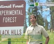 Welcome to the Black Hills Experimental Forest (BHEF). Dr. Michael Battaglia, the scientist in charge of the BHEF provides an overview of historical and current research at this site and tips for visitors. #ExperimentalForest #BlackHills