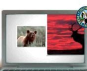 Big Game Online Application Instructions from elk