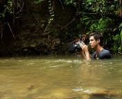 A behind the scenes look at my trip to Siberut, Indonesia with Cale and Will. To read the original blog/journal entry, with more information and drama that went on behind the lense, go to-nnhttp://www.joeyl.com/blog/the-mentawai-12/nnTo view the whole photo series, go to- nnwww.joeyL.comnnVideo shot by Cale Glendening www.caleglendening.comnVideo Edited by... me! nLighting Assistant / Translation Willem IsbruckernGuiding / Translation by Ricky Vhoetra and Gejeng http://mentawaiguide.roxer.comnSo