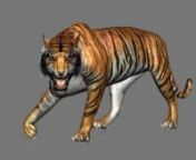 Hi Dear Guys..... ＼(&#o&#)／nnI modified some of the Features of this AmaZing Tiger Rig to make a SHER KHAN