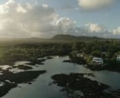 The Wai‘ōpae tidepools are a unique ecosystem that many people adore.Learn about this special place, and if you plan to visit, how to treat the reef and surrounding community with knowledge and respect.nnnCreated by:nn- Autumn Compton [director, editor, writer] nn- Nick Junkersfeld [cinematography, editor]